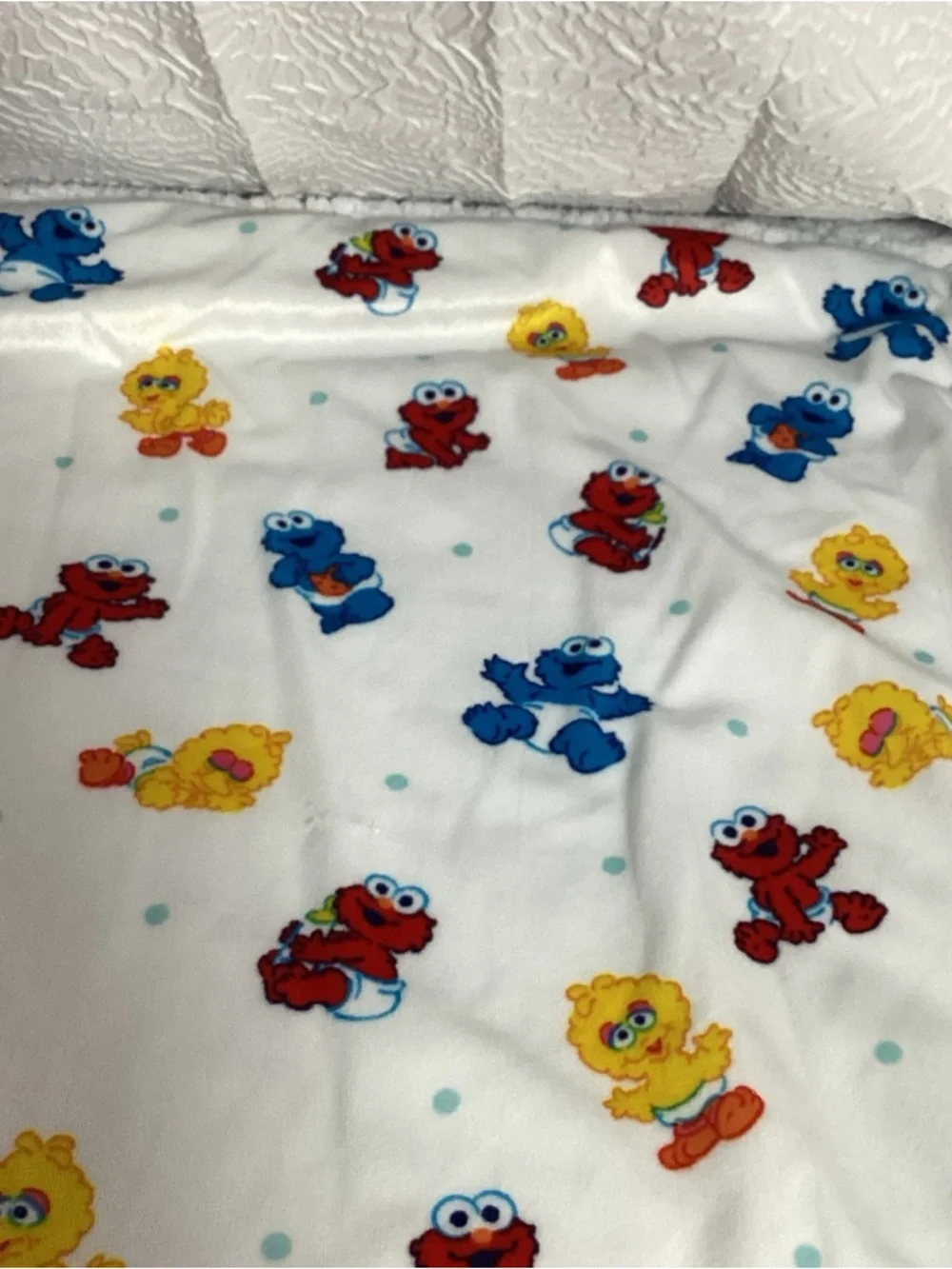 Vintage Sesame Street Babies Graphic Printed Baby Blanket Sherpa Back